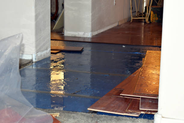 Professional Water Damage Restoration technician working in Ransom Canyon, TX